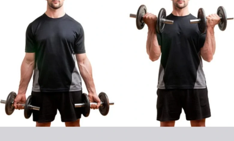 جلو بازو دمبل ثابت