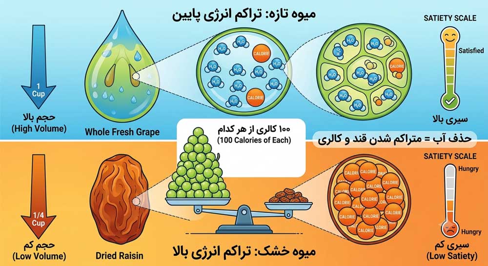 مقایسه کالری میوه خشک و تازه