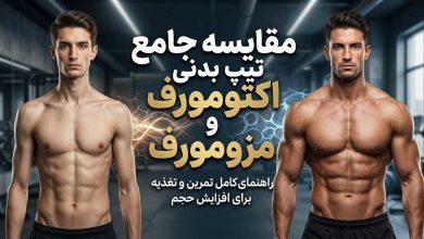 مقایسه جامع تیپ بدنی اکتومورف و مزومورف + تمرین و تغذیه