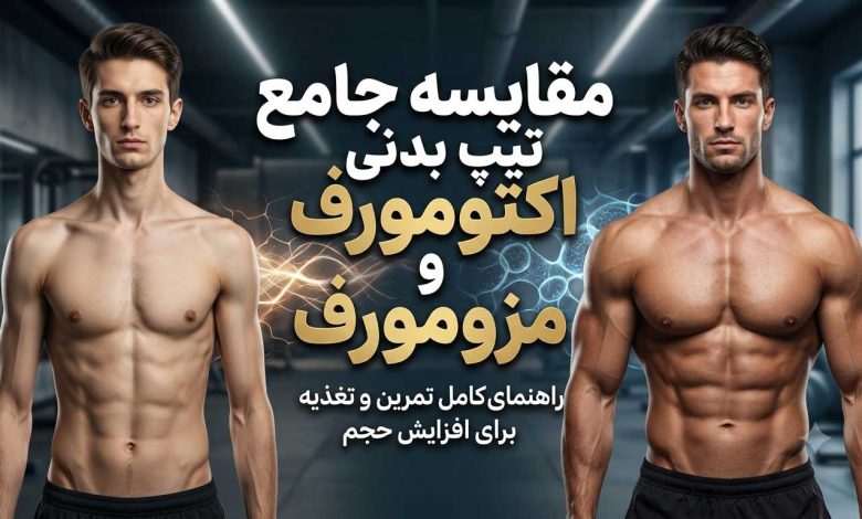 مقایسه جامع تیپ بدنی اکتومورف و مزومورف + تمرین و تغذیه