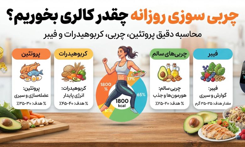 محاسبه کالری برای چربی سوزی + ویدیو